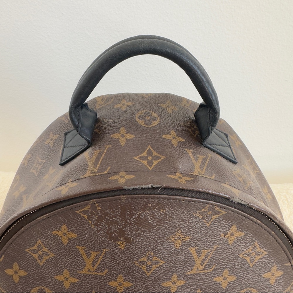 SOLD • Louis Vuitton Monogram Palm Springs Backpack MM - Picture 5 of 11